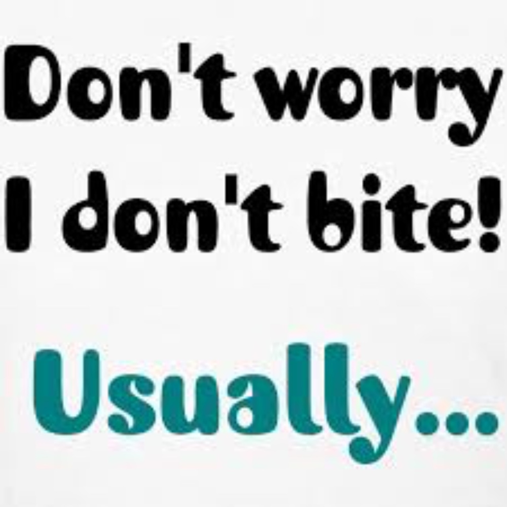 MAKE AN OFFER * I DON'T BITE